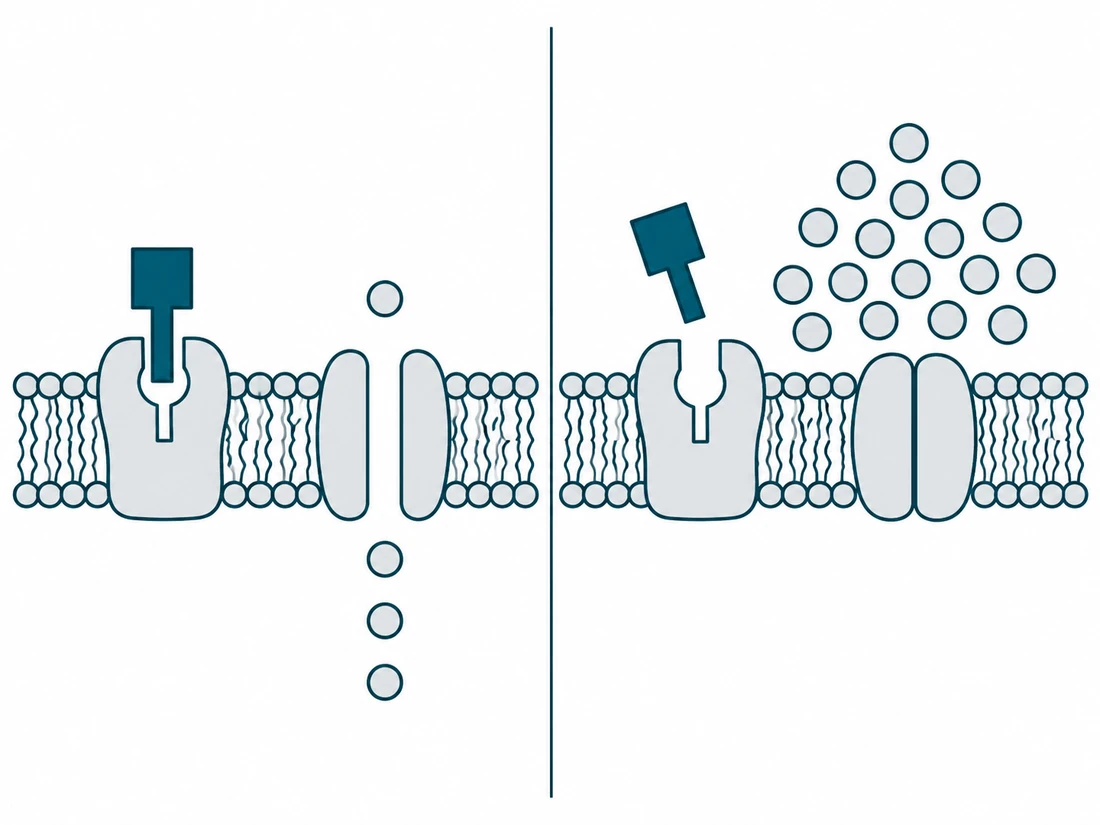 Diagram comparing a normal insulin receptor letting glucose into a cell versus an unresponsive receptor with glucose accumulating outside.
